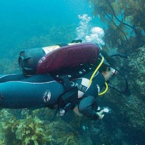 PADI peak Performance Buoyancy Course