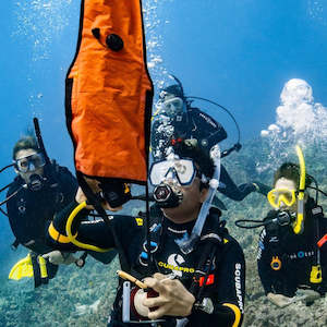 Specialty Courses: DSMB Diver Specialty