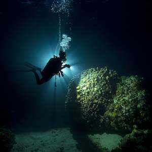 Specialty Courses: Night Diver Specialty