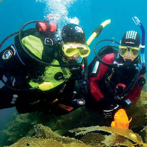 Specialty Courses: Drysuit Diver Specialty