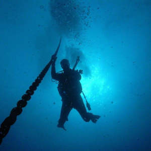 Deep Diver Specialty