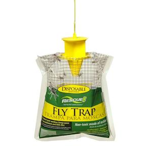 Flies: Fly Trap