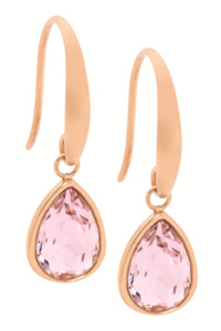 Stainless steel Pink CZ Hook Earrings