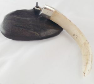 Unique and Original Pig’s tusk pendant