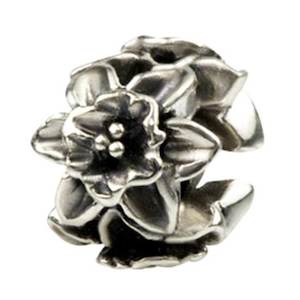 Silverado Daffodil flower Silver Charm