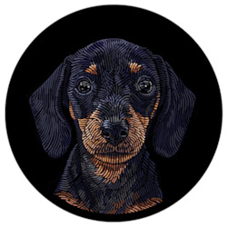 Doggieology Art - Dachshund