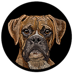 Creative art: Doggieology Art - Boxer