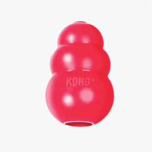 Kong Classic Dog Toy