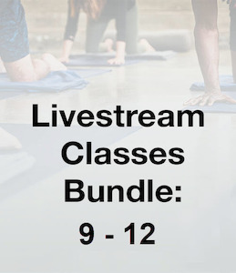 Series 2 – Classes 9-12 Bundle 