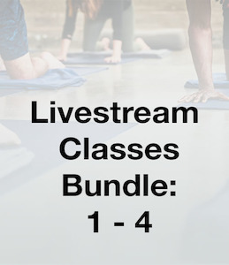 Series 2 – Classes 1-4 Bundle 