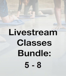 Lsc 09/22: Series 2 – Classes 5-8 Bundle 