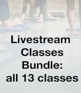 Series 1 – Classes 1-13 Bundle 