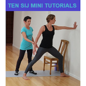 Sacroiliac Joint Ten Mini Tutorials 