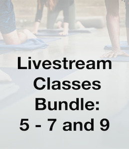 Series 1 – Classes 5-7 & 9 Bundle 