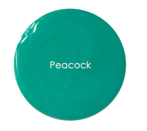 Peacock - Premium Chalk Paint