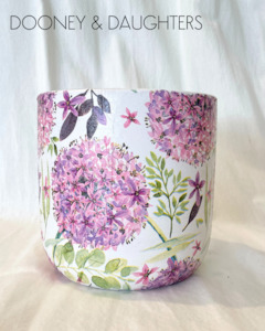 Paint: Large Pot - Allium