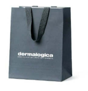 retail paper bags - 10 pack