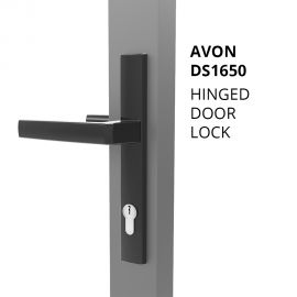 DS1650 Hinged Door Lock