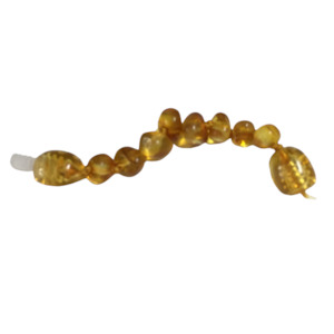 Nursery stock - wholesale: Amber extension - Honey (screw clasp)