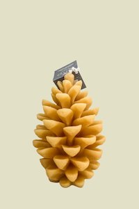 Grocery supermarket: Hexton Pinecone Candle