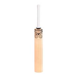 Warrior Indoor Cricket Bat - SH