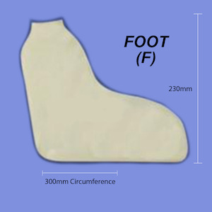 Foot