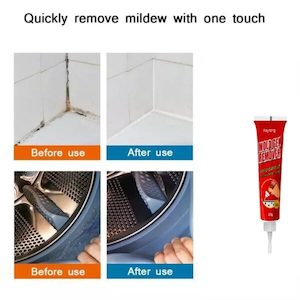 Mold Remover Gel 100g