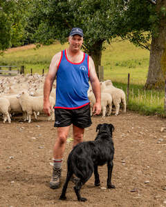 Shearer's Singlet - Cobalt Blue and Navy