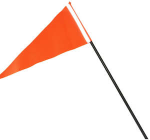 Scooter Flag