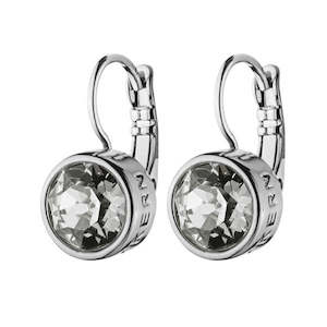 Louise Shiny Silver Earrings - Grey