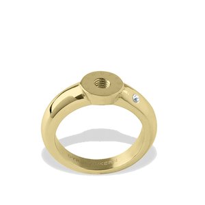 Compliments Interchangeable Rings: Ring 5 Gold Ring