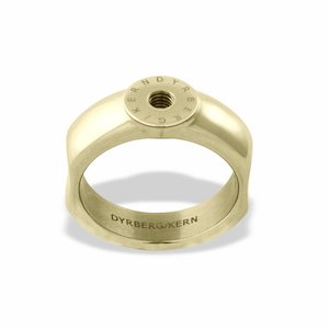 Compliments Interchangeable Rings: Ring 1 Shiny Gold Ring