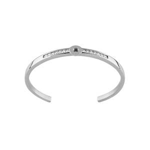 Bracelet 2 Shiny Silver Interchangeable Bracelet