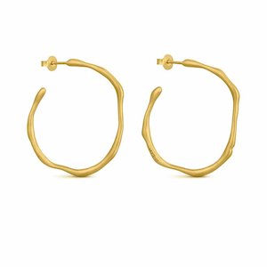 Clara Gold Hoops Circular