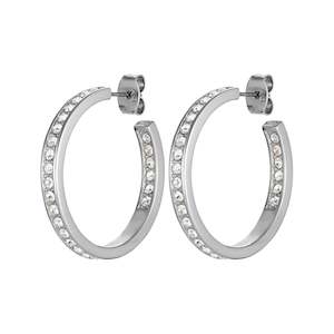 Justina Shiny Silver Earrings - Crystal