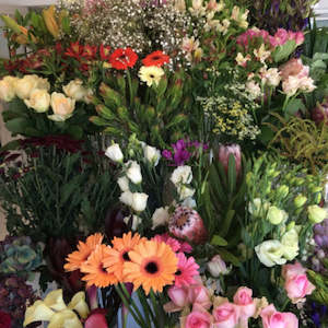 Flower: Florist Choice