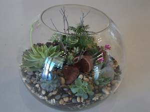 Terrarium