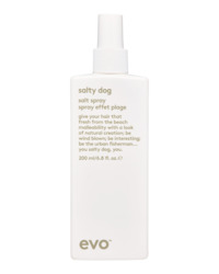 Evo Salty Dog Salt Spray 200ml