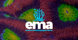 EasternMarine Aquariums NZ's 1 Marine Fish & Coral