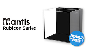 Mantis Rubicon 2.0 - EasternMarine Aquariums