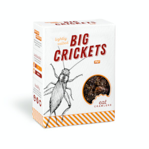 Lightly Salted Big Crickets 20g