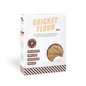 Cricket Flour 100g