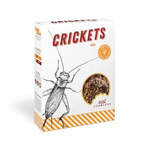 Discountable: Bulk Crickets 100g