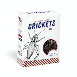 Chocolate Coated Crickets 10g