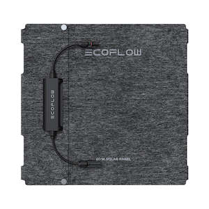 EcoFlow 60W Portable Solar Panel