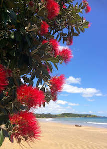 Pohutukawa - Extra Large Wooden Wick Candle