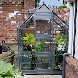 Greenhouse