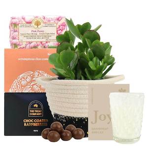 Succulent Scent Hamper