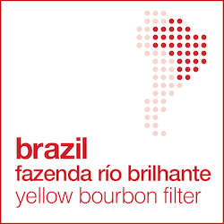 brazil fazenda río brilhante yellow bourbon - filter