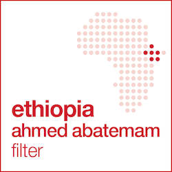 ethiopia ahmed abatemam  - filter